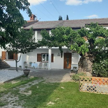 Country House Gazon Guest House Šmarje Exterior foto